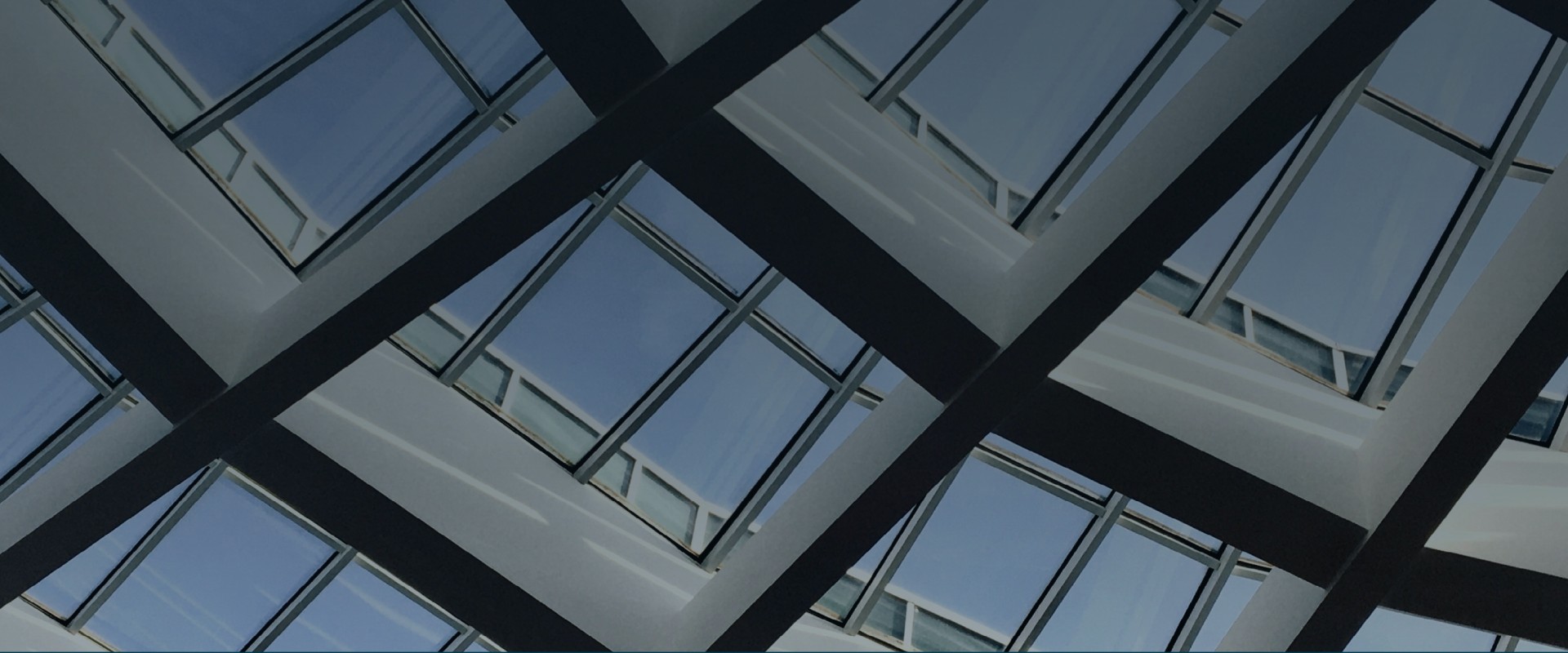 Banner da página Blue Chip